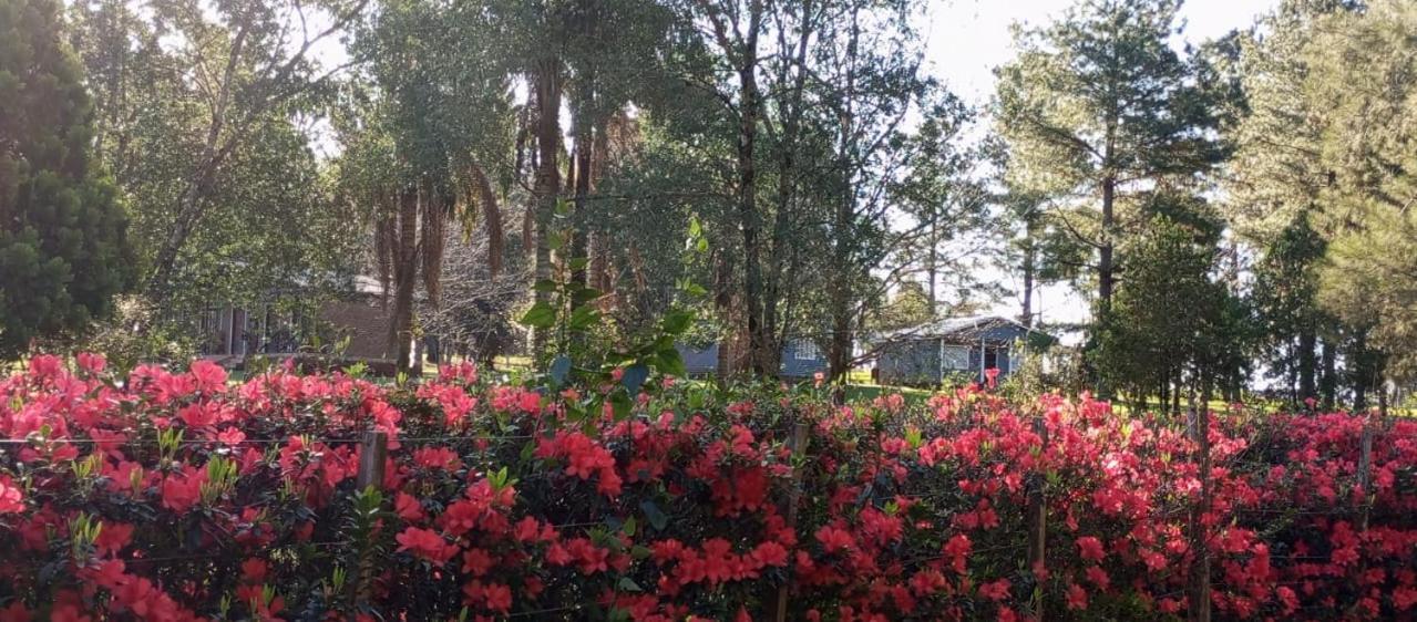 Hotel Las Azaleas Jardín América Kültér fotó