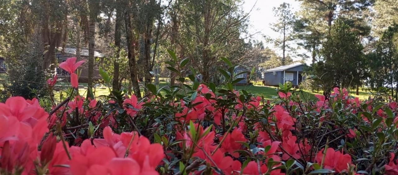 Hotel Las Azaleas Jardín América Kültér fotó