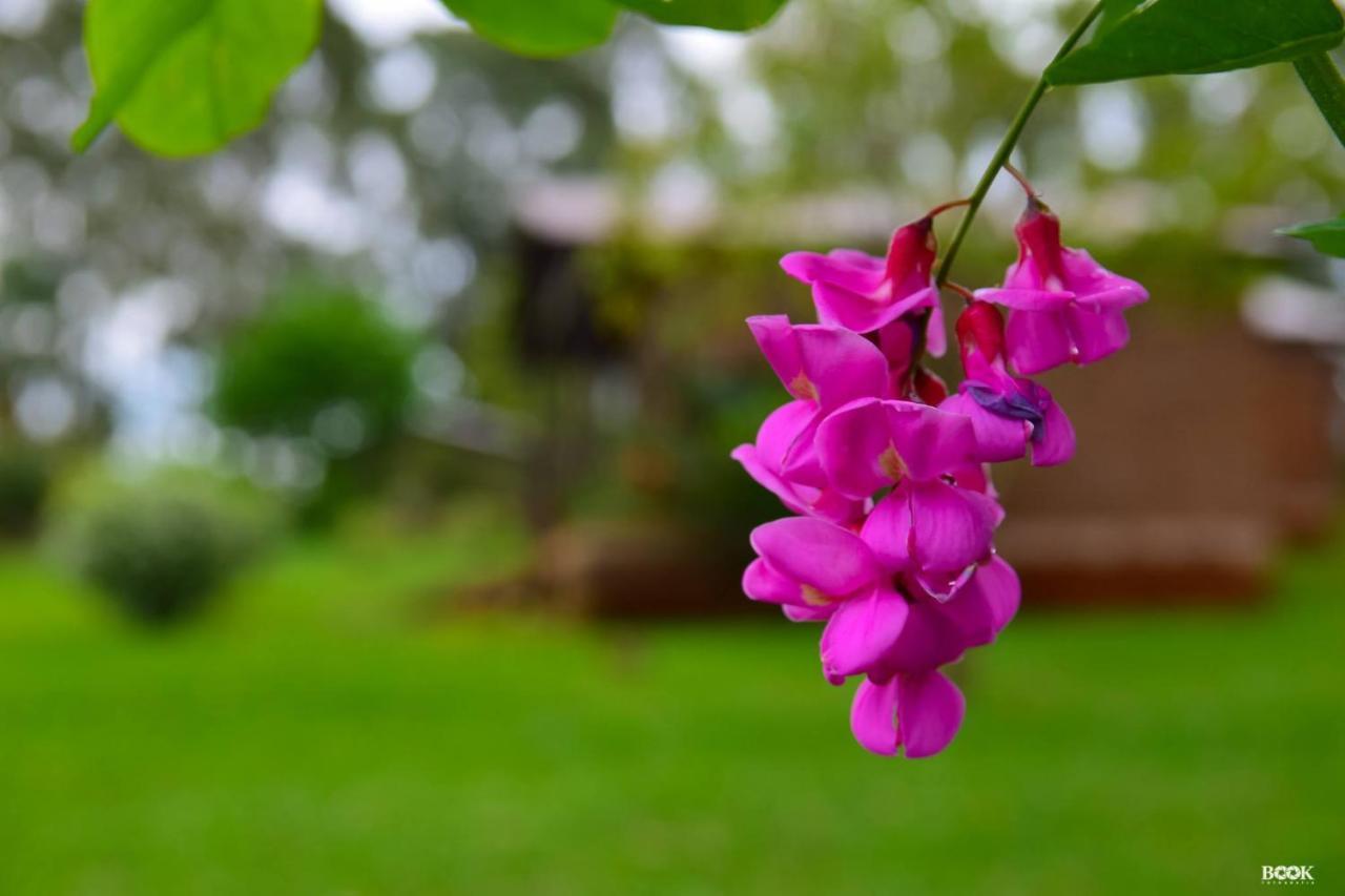 Hotel Las Azaleas Jardín América Kültér fotó