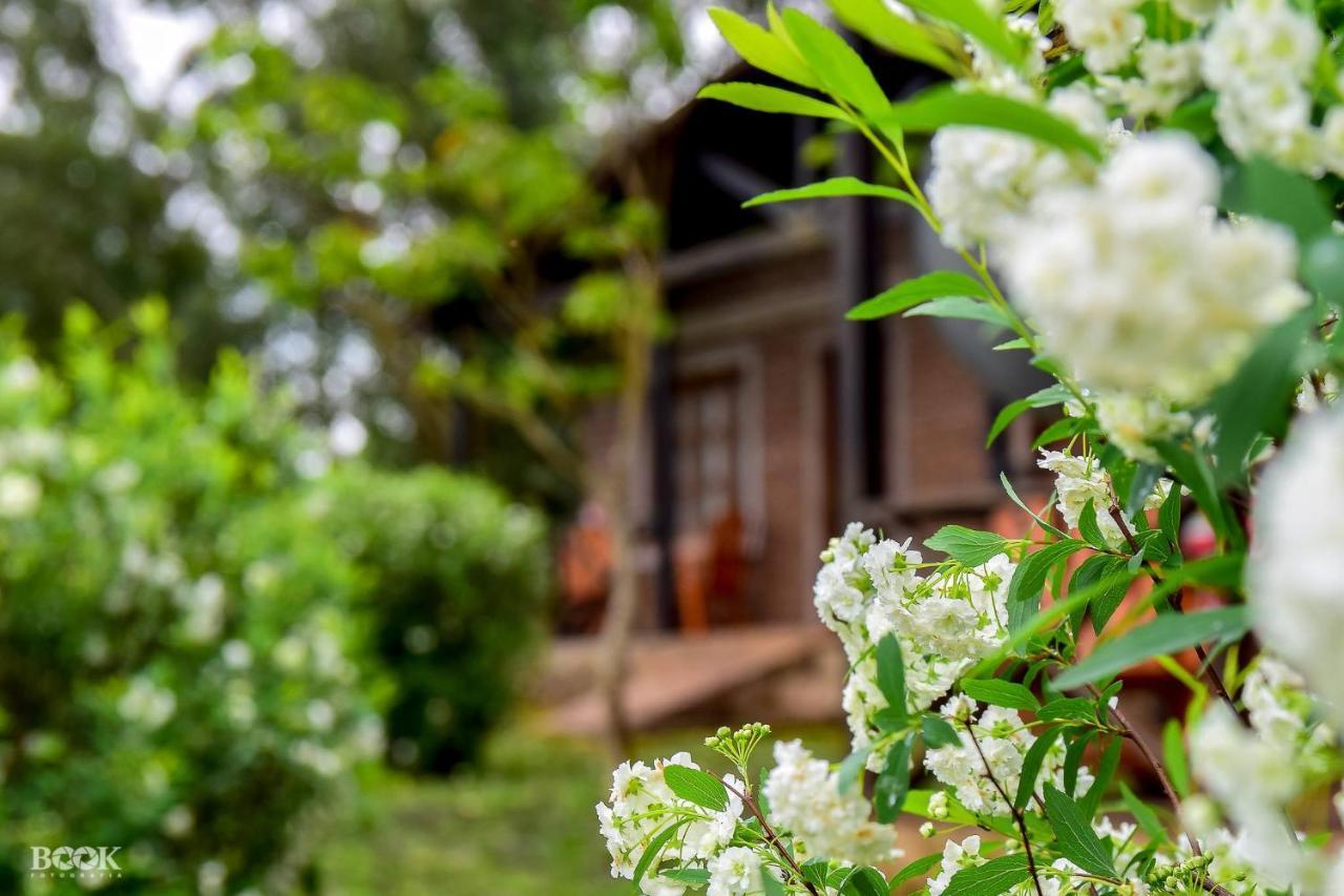 Hotel Las Azaleas Jardín América Kültér fotó
